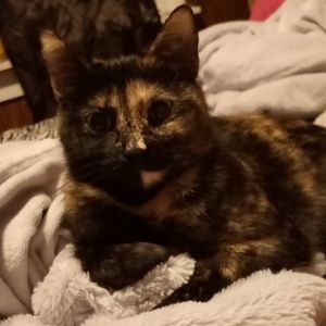 Meet your Posher, Susan